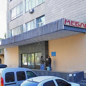 Mamina-Sybiriaka Street, 21, Kyiv: photo