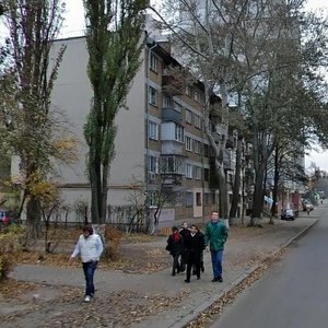Volynska Street, 31, Kyiv: photo
