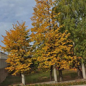 Svobody Street, 107, : foto