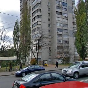 Valeriia Lobanovskoho Avenue, 18, Kyiv: photo