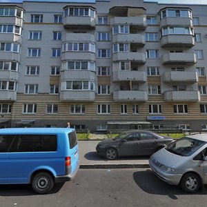 Kustodiev Street, 19, Saint Petersburg: photo