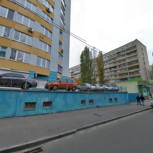 Mykhaila Kotelnykova Street, 1, Kyiv: photo