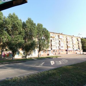 Pobedy Street, 79, Samara: photo