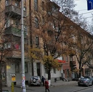 Zhylianska Street, 56, Kyiv: photo