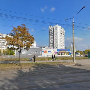 Khortytske shose, 2, Zaporizhia: photo