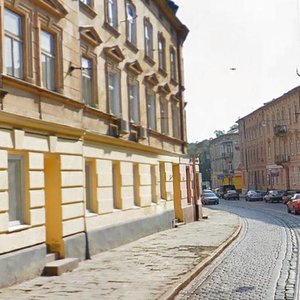 Львов, Улица Дмитрия Витовского, 12: фото