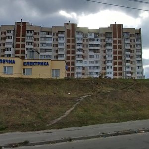 Poliarna Street, 8Д, Kyiv: photo