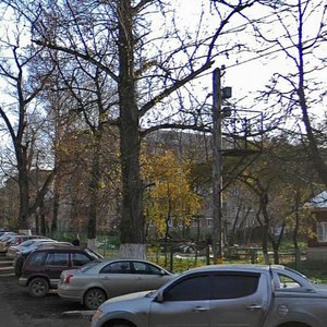 Lva Tolstogo Street, 93, Tula: photo