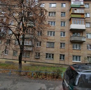Starokyivska Street, 1/5, Kyiv: photo