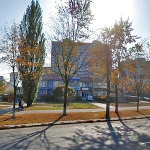Volodymyra Maiakovskoho Avenue, 10, : foto