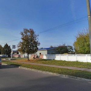 Instrumentalna vulytsia, 3А, Chernihiv: photo