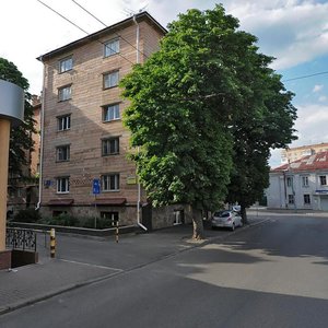 Vulytsia Hetmana Polubotka, 8, : foto