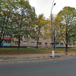 Ivana Mazepy Avenue, 6, Vyshhorod: photo