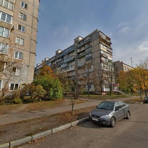 Amvrosiia Buchmy Street, 3, Kyiv: photo