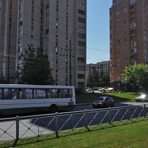 Khudozhnikov Avenue, 35, Saint Petersburg: photo