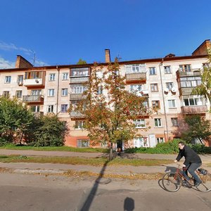 Lotna vulytsia, 9, Chernihiv: photo