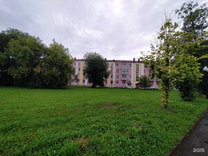 Рыбинск, Улица Димитрова, 4: фото