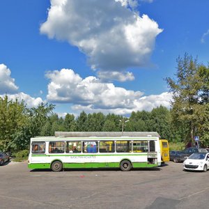 Zavodskaya Street, 3А, Elektrougli: photo