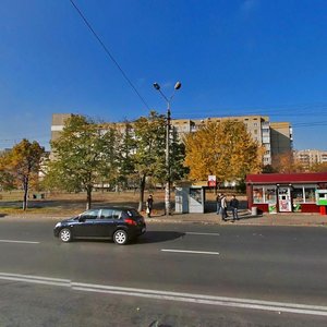 Volodymyra Maiakovskoho Avenue, 53, Kyiv: photo