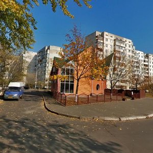 Pryozerna Street, 12Б, Kyiv: photo