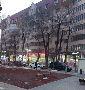 Panfilov Street, 113, Almaty: photo