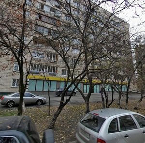 Biloruska Street, 21, Kyiv: photo