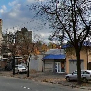 Valeriia Lobanovskoho Avenue, 124Б, Kyiv: photo