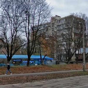 Dehtiarivska Street, 60В, Kyiv: photo