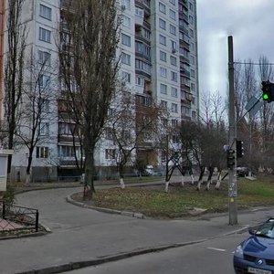 Stadionna Street, 14, Kyiv: photo