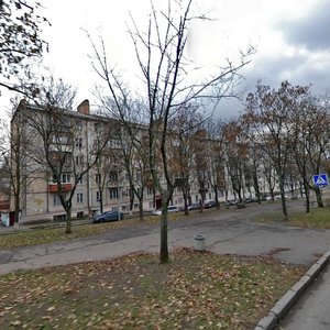 Marii Pryimachenko Boulevard, 6, Kyiv: photo