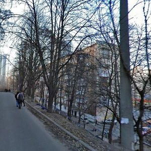 Lesi Ukrainky Boulevard, 10, Kyiv: photo