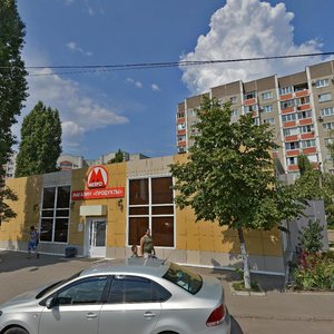 Vladimira Nevskogo Street, 47Г, Voronezh: photo