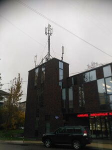 Kosmonavta Leonova Street, 52А, Kaliningrad: photo