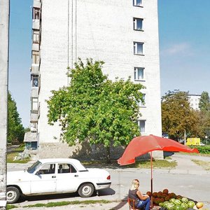 Vulytsia Lesi Ukrainky, 14 ، : صورة