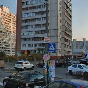 Mykhaila Hryshka Street, 8, Kyiv: photo