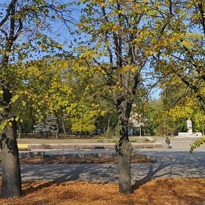 Bulvar Vintera, 12, Zaporizhia: photo