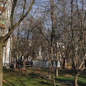 Snezhnaya Street, 3А, Moscow: photo