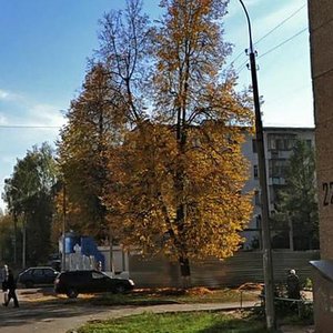 Pesochnaya Street, 20А, Izhevsk: photo