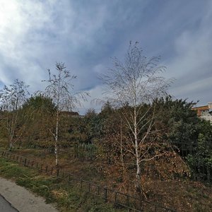 Suvorova Street, 2, Penza: photo