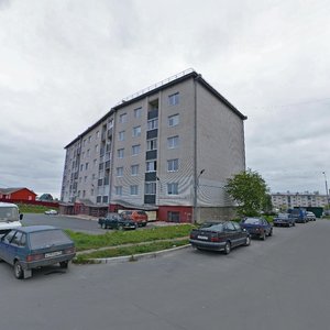 Pogranichnaya Street, 56, : foto