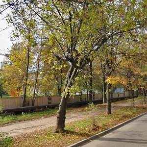 Mikhaylovskaya Street, 10 ، : صورة