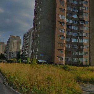 Lososinskoye Highway, 29, Petrozavodsk: photo