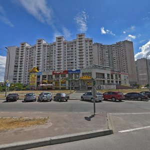 Myloslavska Street, 43, Kyiv: photo