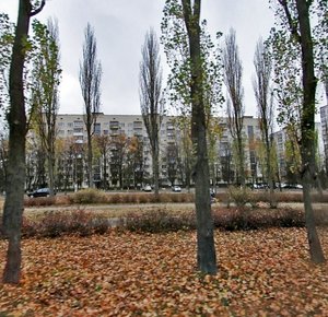 Akademika Vernadskoho Boulevard, 85 ، كييف: صورة