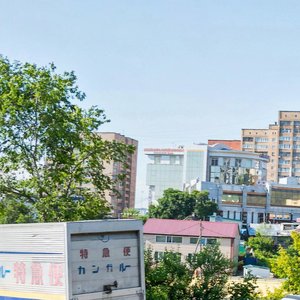 Ulitsa Karbysheva, 9, Vladivostok: photo