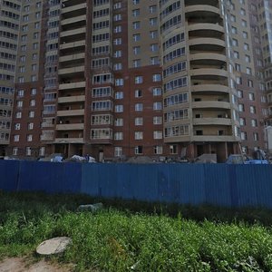 Badayeva Street, 14к1, Saint Petersburg: photo
