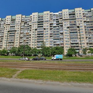Nastavnikov Avenue, 41к1 ، سان بطرسبرغ: صورة