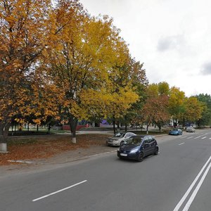 Hazova vulytsia, 1/43, Boiarka: photo