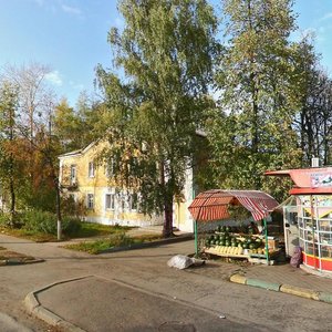 Нижний Новгород, Улица Чаадаева, 29: фото