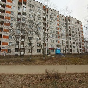 Дзержинск, Улица Рудольфа Удриса, 3: фото